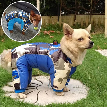manteaux pour chien coupe vent extérieur