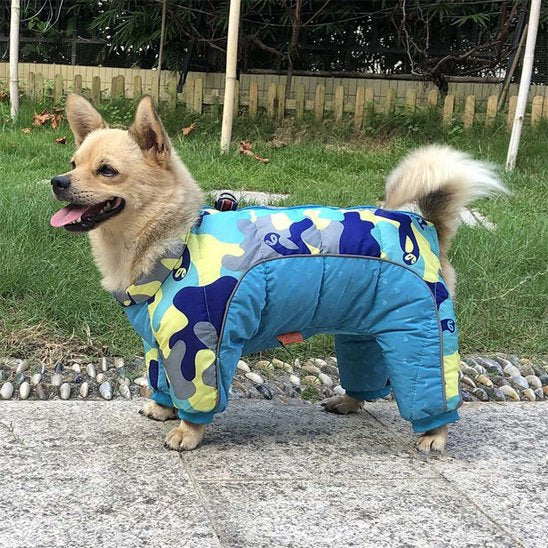 manteaux pour chien hiver chaud