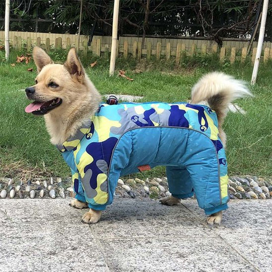 manteaux pour chien hiver chaud