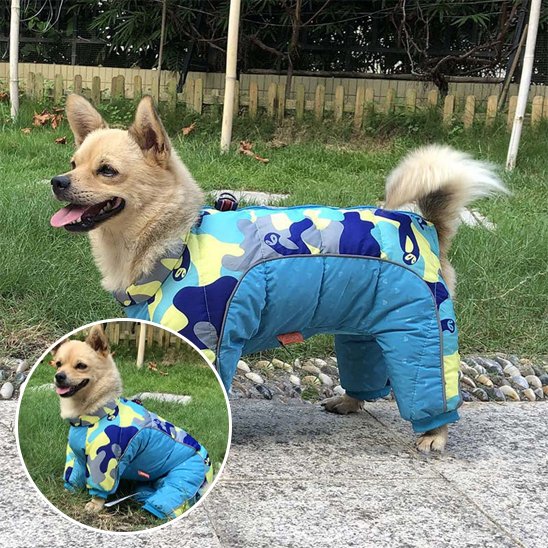 manteaux pour chien imperméable hiver