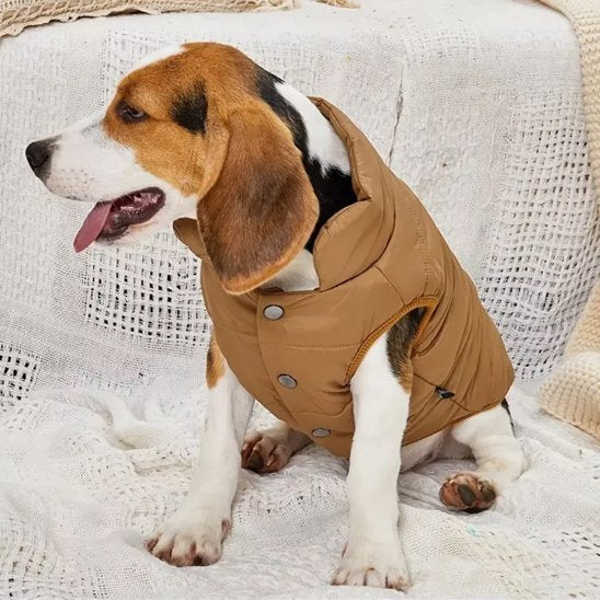 manteaux pour chien léger pour promenades