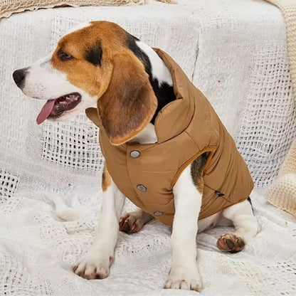 manteaux pour chien léger pour promenades