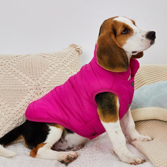 manteaux pour chien matelassé col montant