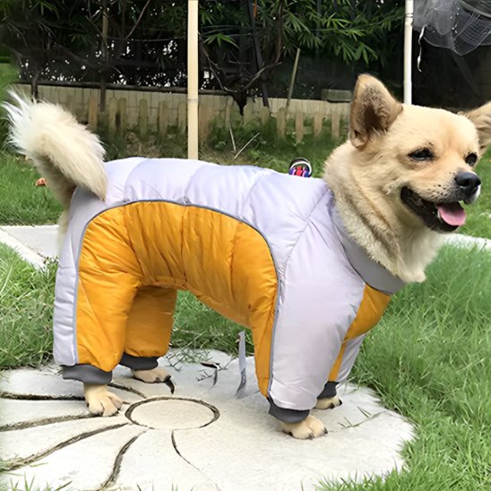 manteaux pour chien polaire imperméable 