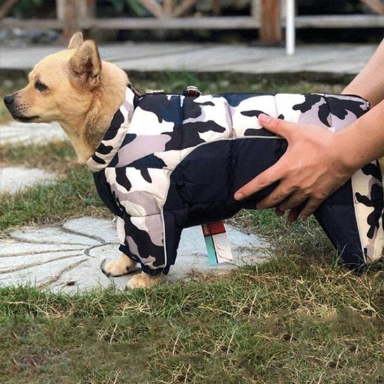 manteaux pour chien vêtement hiver chien