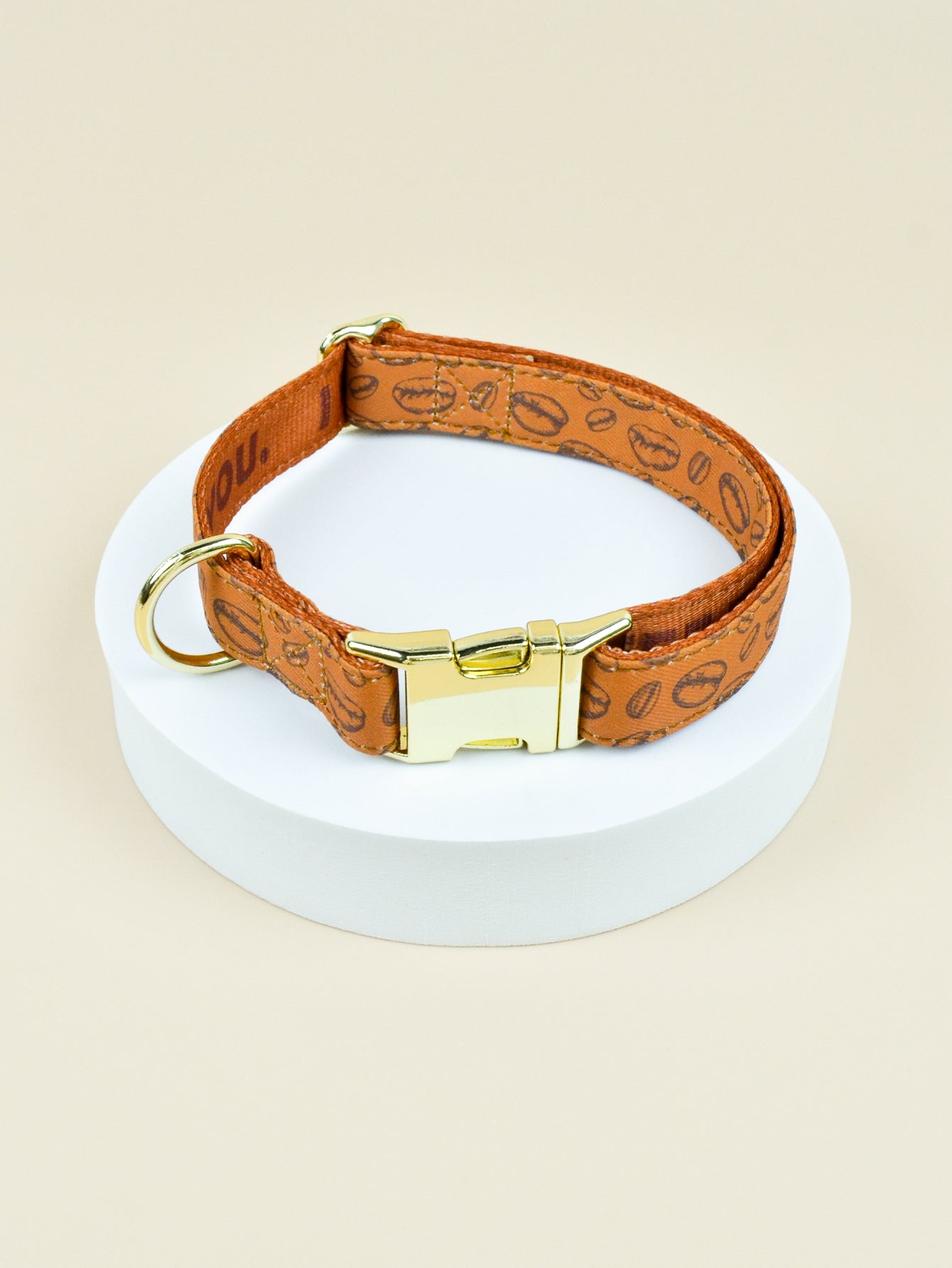 Collier chiot | Ajustable et Confortable