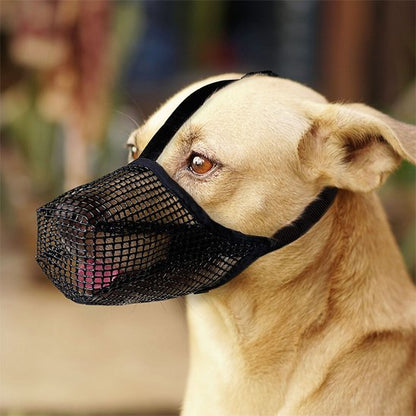 muselière chien adaptée sorties quotidiennes