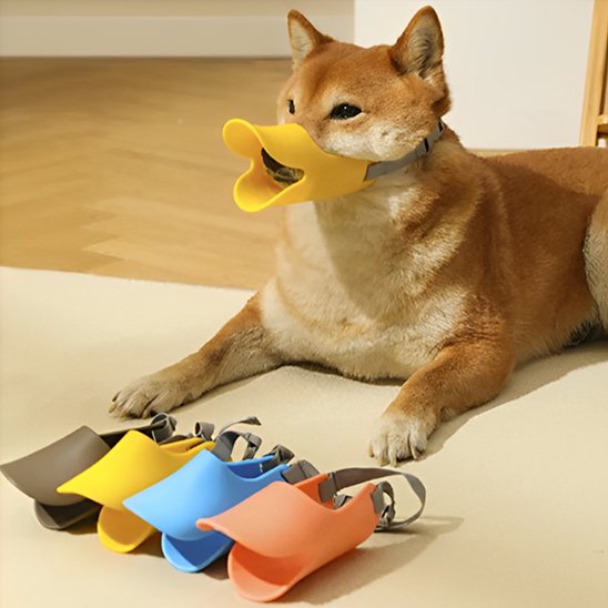 muselière chien anti morsure