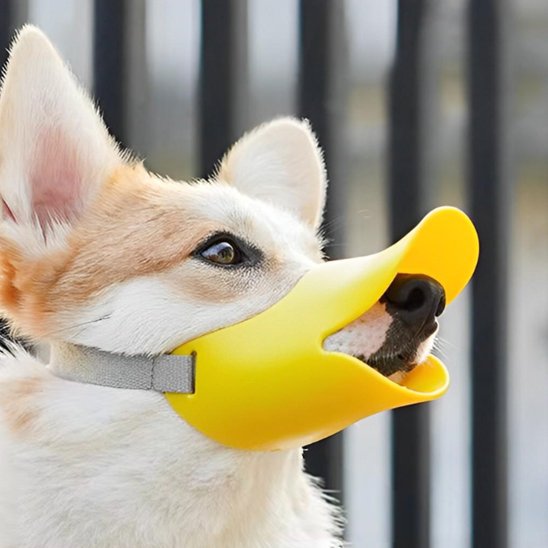 muselière chien respirante pour promenade