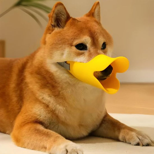 muselière chien silicone confortable