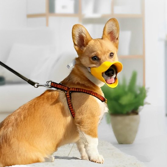 muselière chien souple pour chien actif