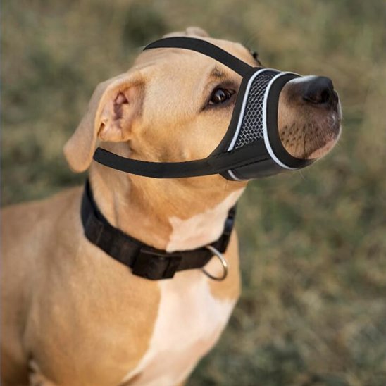 muselière pour chien confort balade