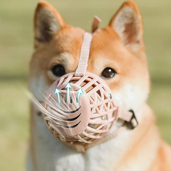 muselières pour chiens anti morsure sécurisées 