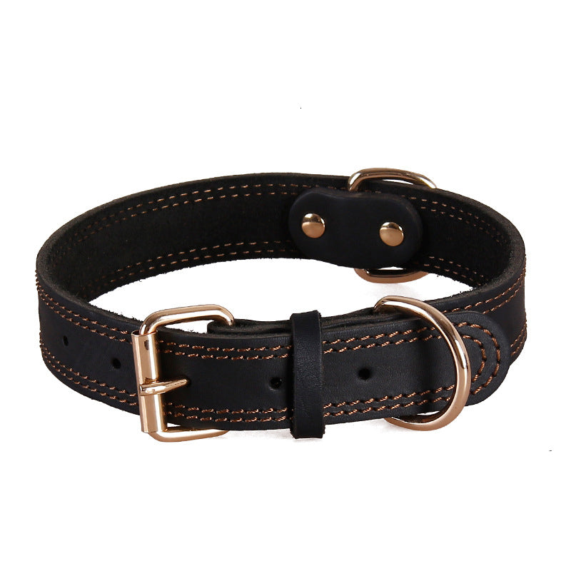 Collier chien cuir | Résistant Premium