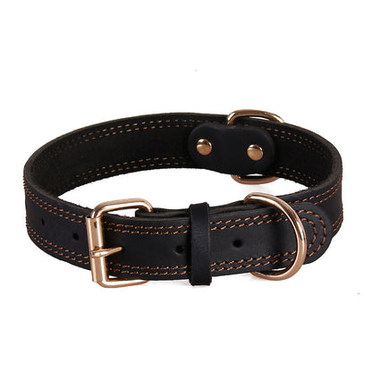 Collier chien cuir | Résistant Premium