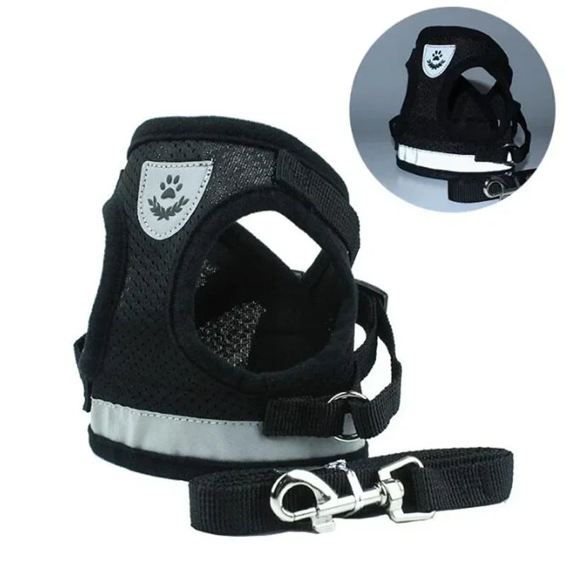 Harnais chien | Confort et Maintien