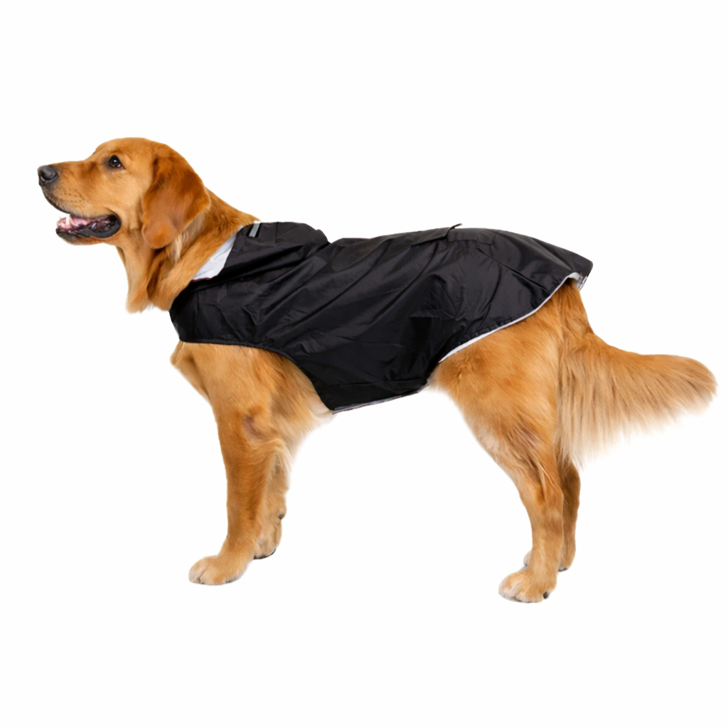 Imperméable pour chien | Résistant et Confortable