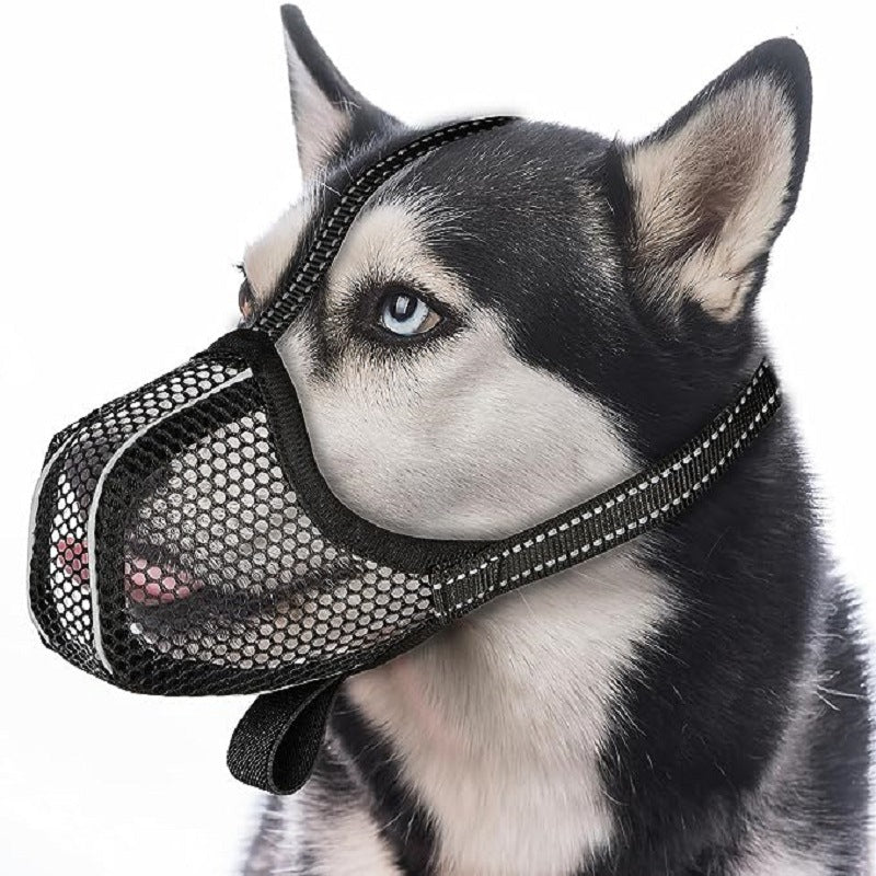 MUSELIERE CHIEN | CONFORT ASSURANCE