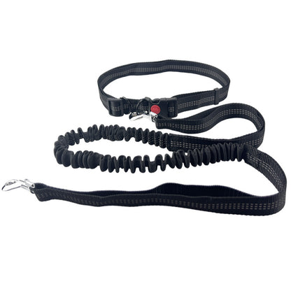 Laisse main libre chien  | Confort Optimal