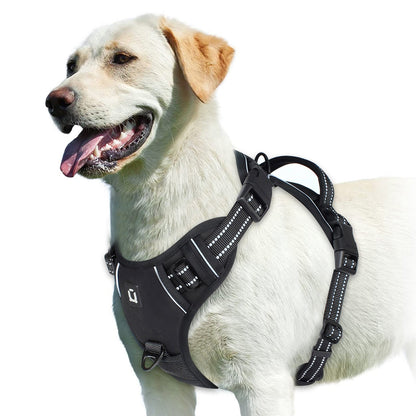 Harnais chien | Confort Optimal