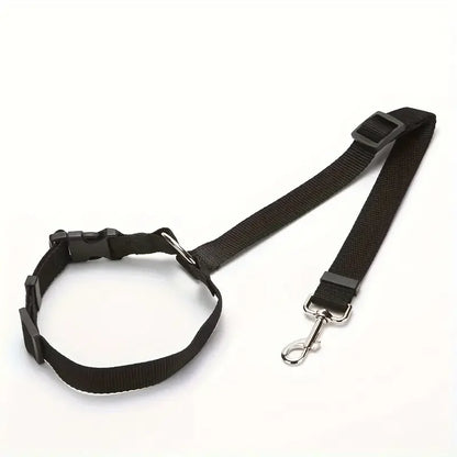 Laisse pour chien voiture | Résistante et Confortable