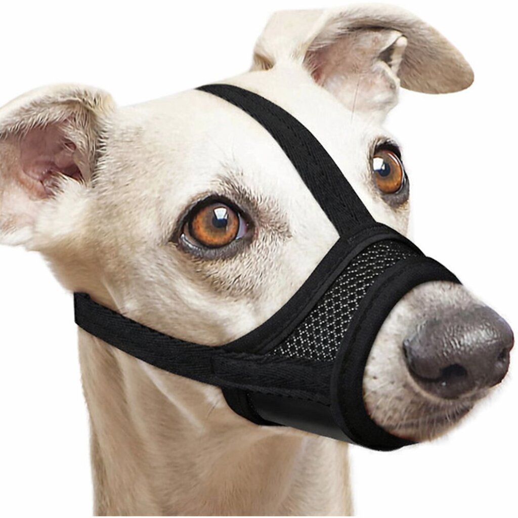 Muselière pour chien | Confortable et Sécurisée