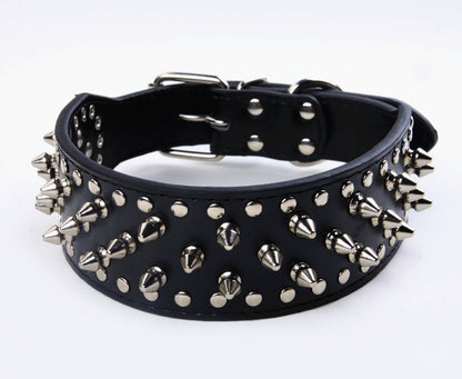 Collier Chien Cuir | Robuste Premium