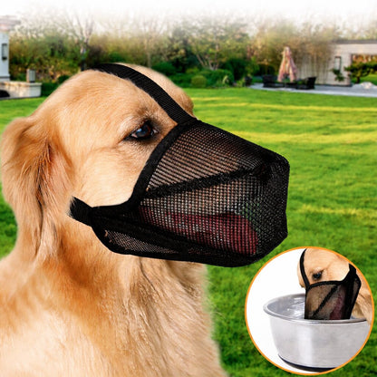 Muselière chien | Confortable et Sécurisée