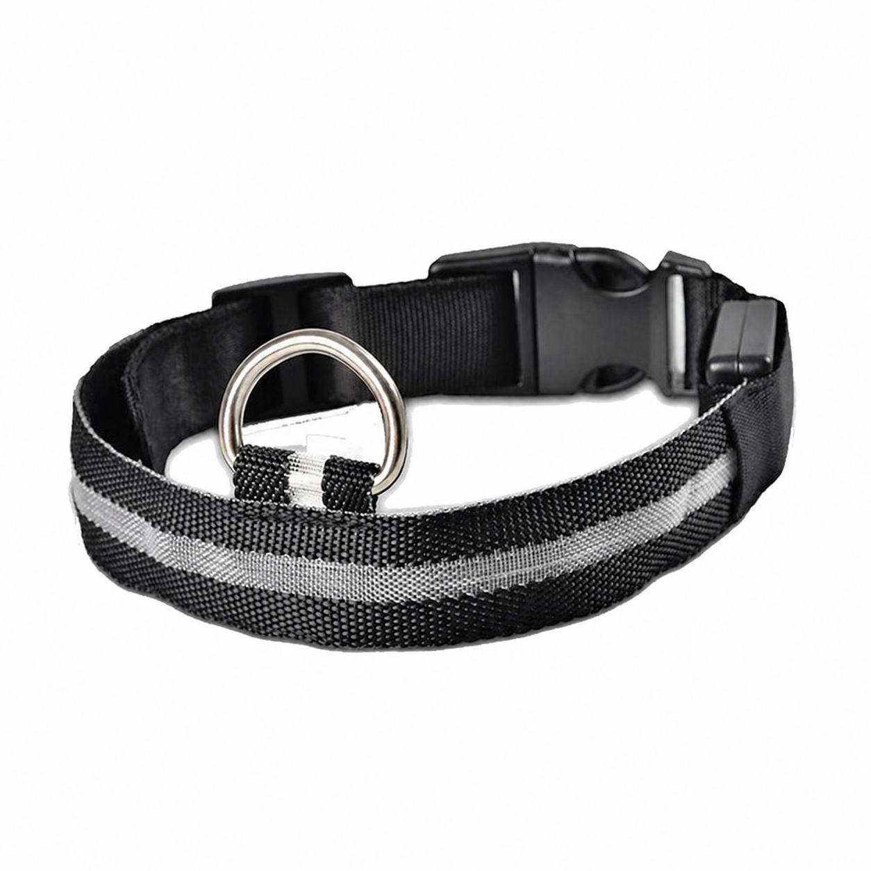 Collier lumineux pour chien | Visibilité et Sécurité