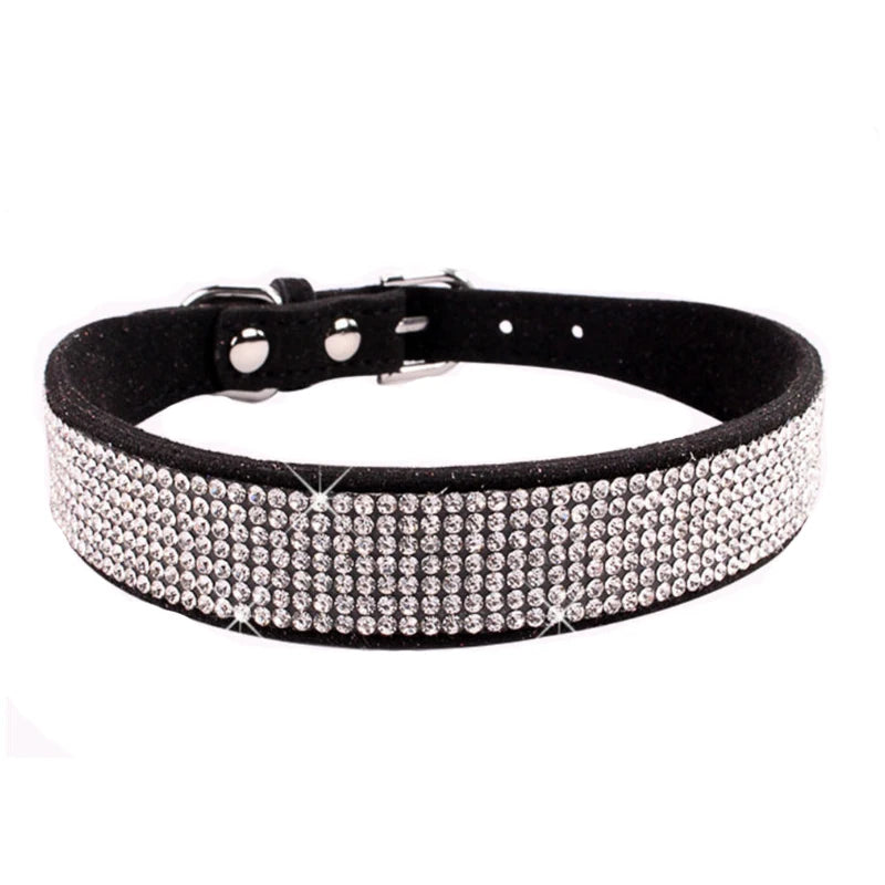 Collier pour chien | Résistant & Confortable