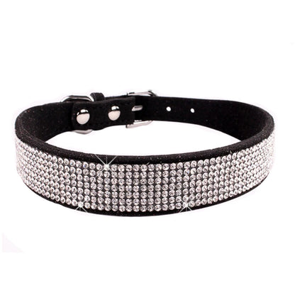 Collier pour chien | Résistant & Confortable
