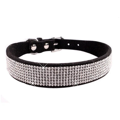 Collier pour Chien en Cuir | Résistant et Confortable