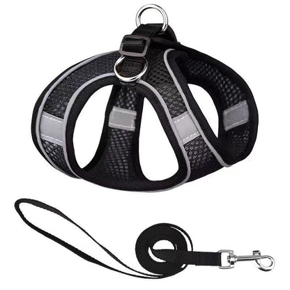 Chiot harnais | Confort Ajustable
