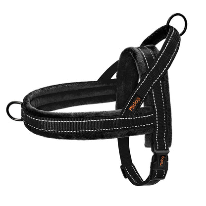 Harnais pour chien | Confort Premium