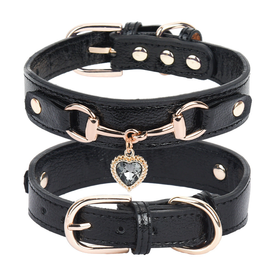 Collier Chien Cuir | Résistant et Confortable
