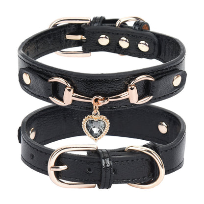 Collier Chien Cuir | Résistant et Confortable
