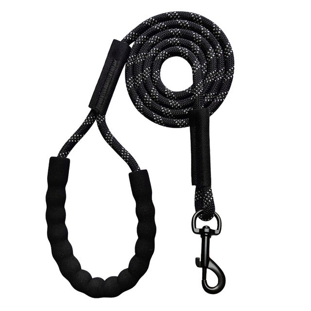 Longe chien | Robuste et Confortable