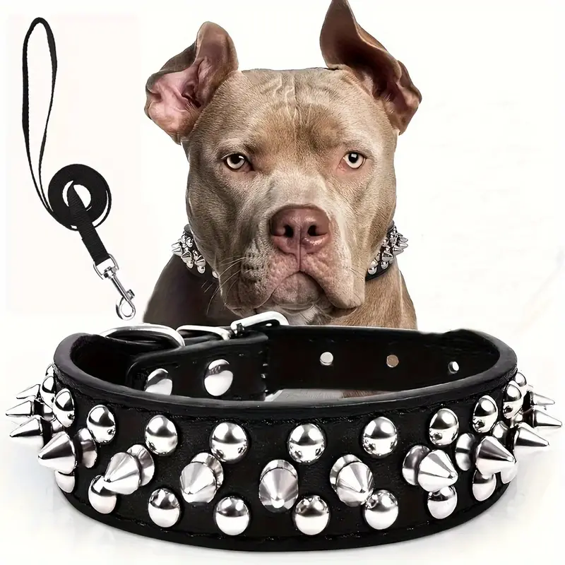 Collier pour chien cuir | Confort et Sécurité