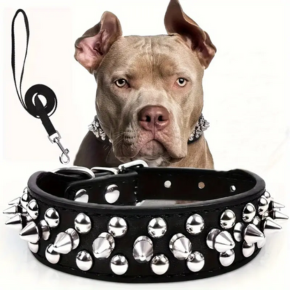 Collier pour chien cuir | Confort et Sécurité