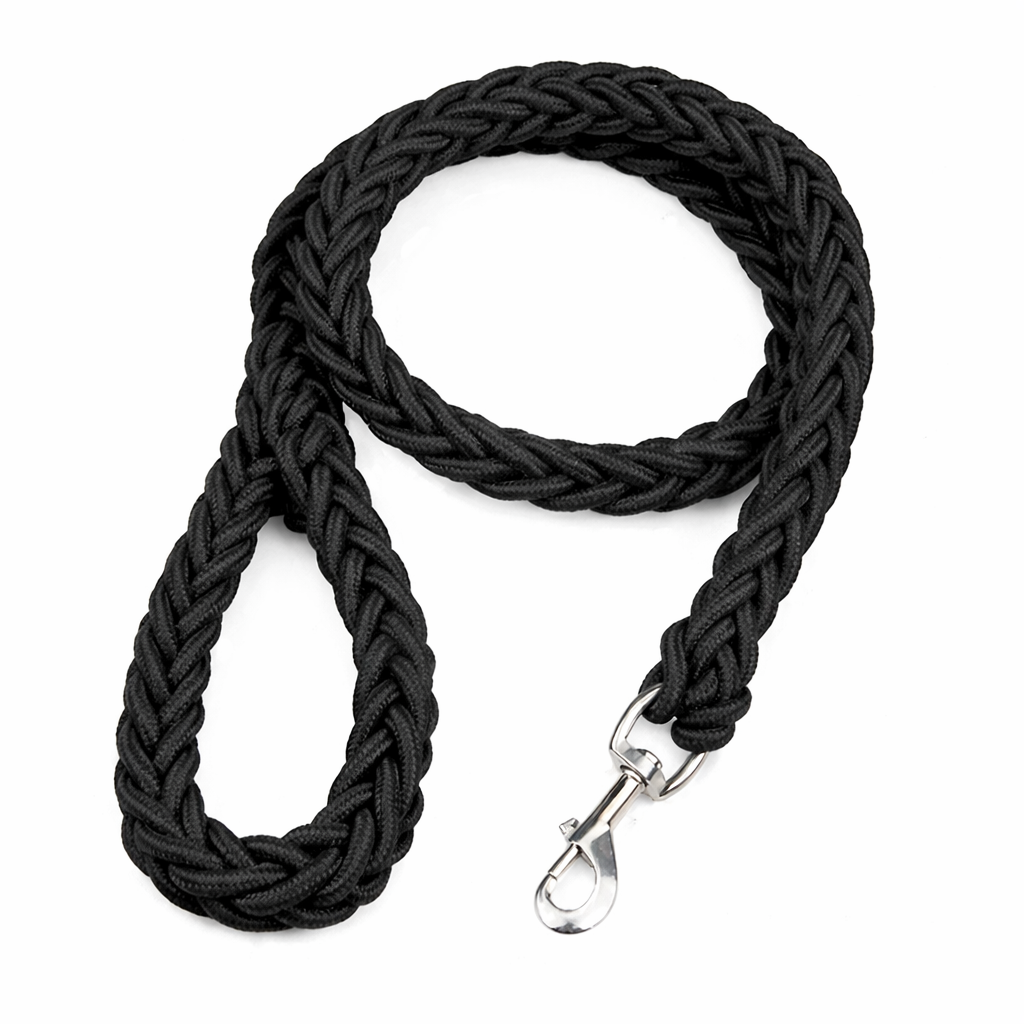 Une laisse de chien | Robuste et Confortable