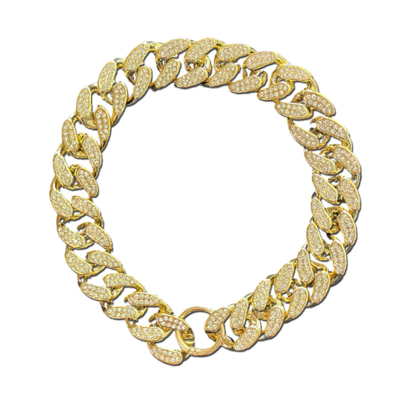 Collier pour chien | Original et Léger