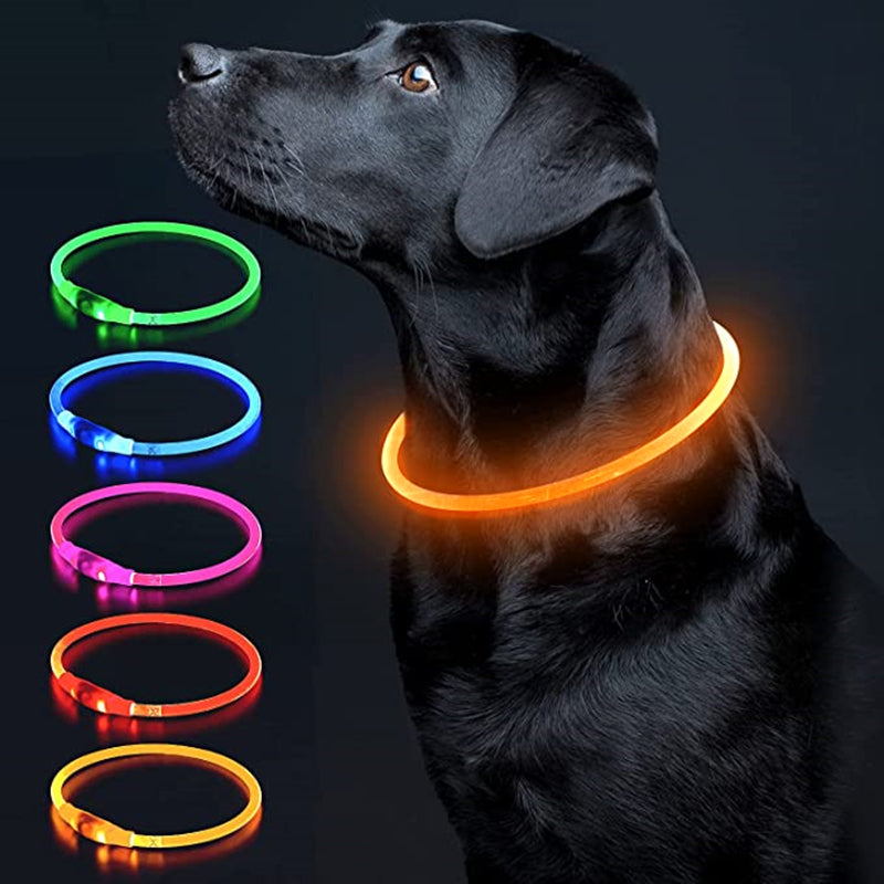 Collier chien lumineux rechargeable | LED Haute Visibilité