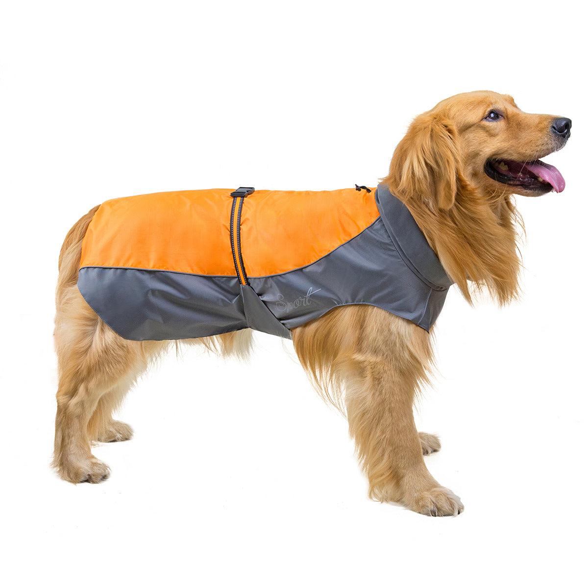 Imperméable pour chien | Tous temps
