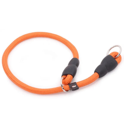 Colliers pour chiens | Résistant et Confortable