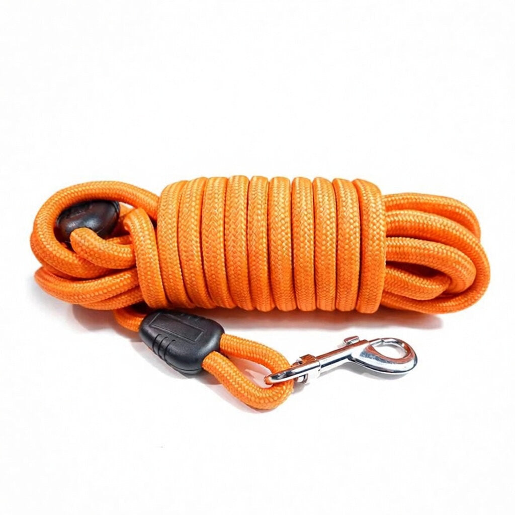 Longe pour Chien | Robuste et Confortable