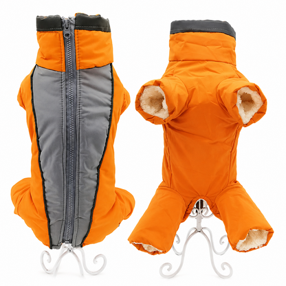 Manteau Chien Hiver | Imperméable