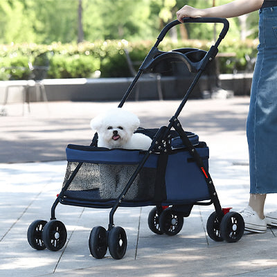 petit chien dans poussette pour chien toit ouvert