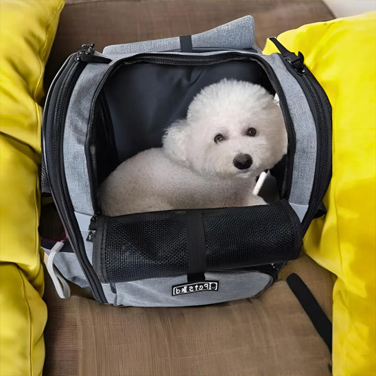 sac a dos pour chien porte sur dos