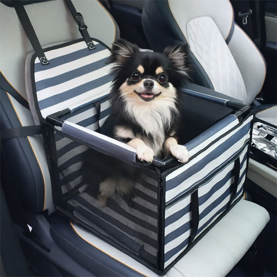 petit chien dans siege auto pour chien blanc bleu