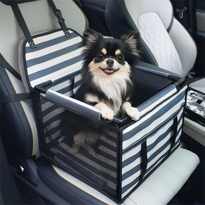 petit chien dans siege auto pour chien blanc bleu